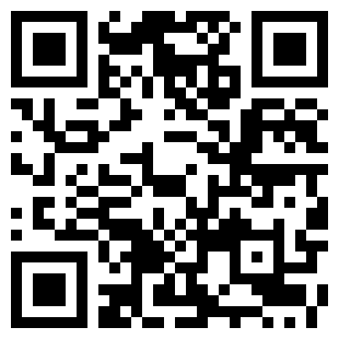 扫码下载真人汽车驾驶2