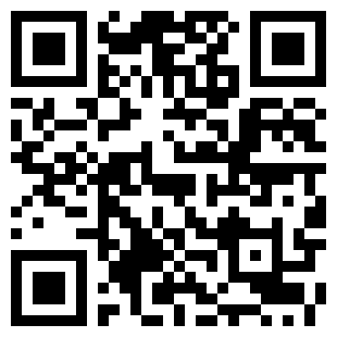 扫码下载代号飞牌