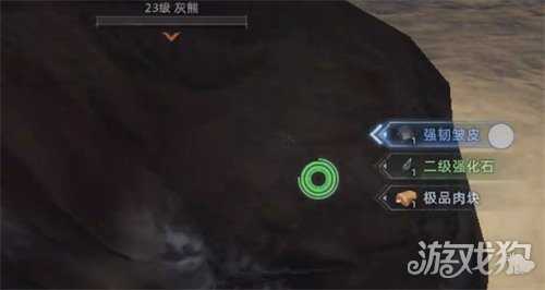 荒原曙光熊在哪里 熊具体位置