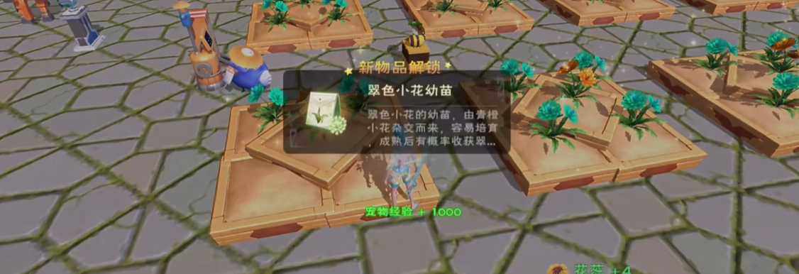 创造与魔法绿色的小花在哪有