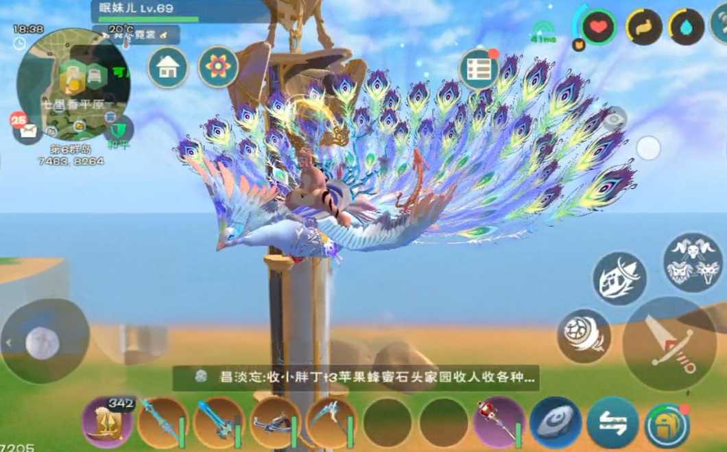 创造与魔法白灵孔雀怎么抓