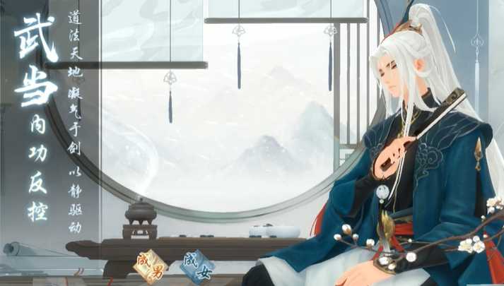 新笑傲江湖武当选择什么流派