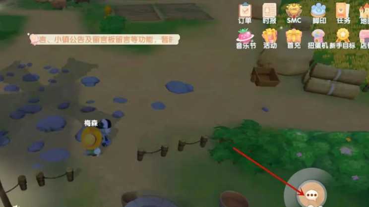 摩尔庄园怎么在家里放梅森