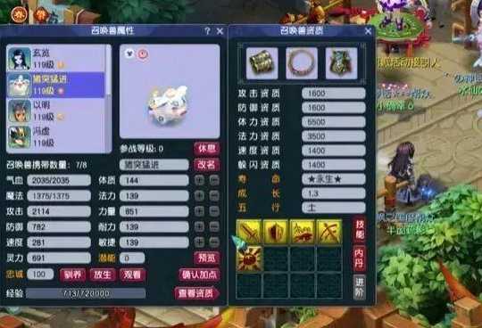 梦幻西游神兽加什么点