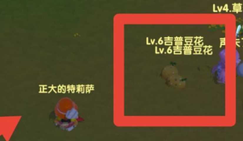 摩尔庄园捕捉精灵怎么用