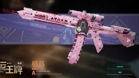 使命召唤命运是什么枪