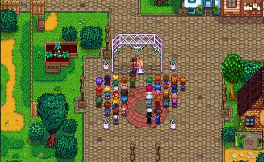 星露谷物语双人玩怎么结婚