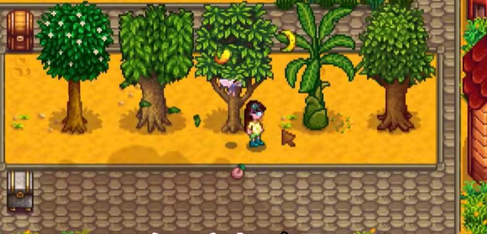 星露谷物语果树收益高吗