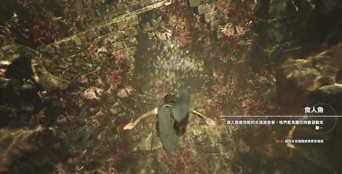 古墓丽影食人鱼怎么躲