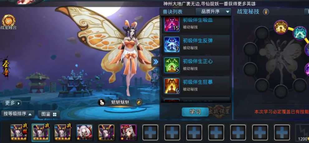 乱斗西游宠物怎么加点