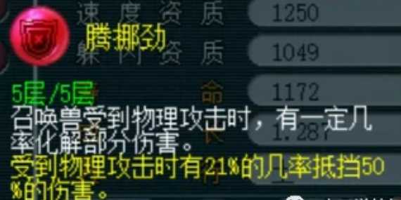 梦幻西游阴功pk打什么内丹