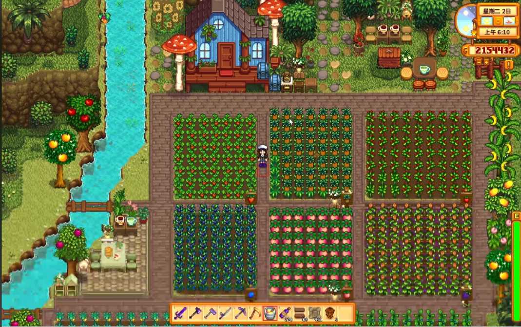 星露谷物语姜岛农场怎么开