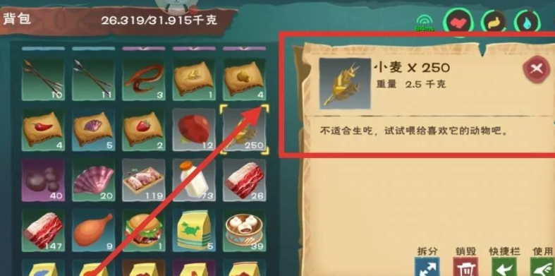 创造与魔法鸡吃什么