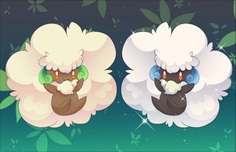 口袋妖怪妖闪是什么