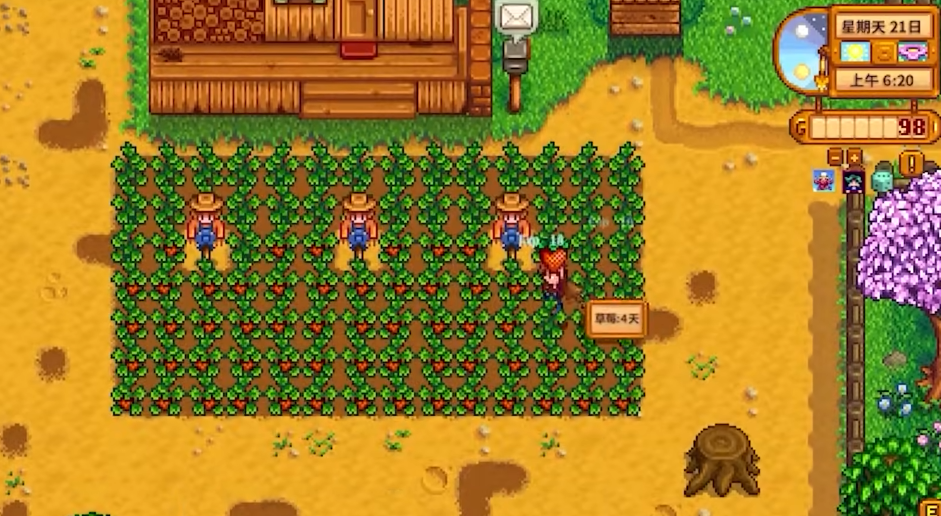 星露谷物语第二年有什么变化