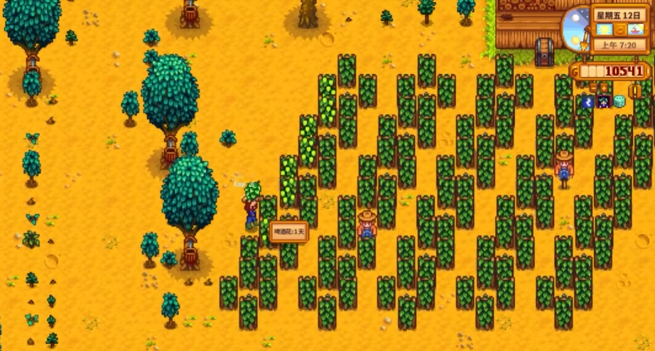 星露谷物语果树为什么不结果