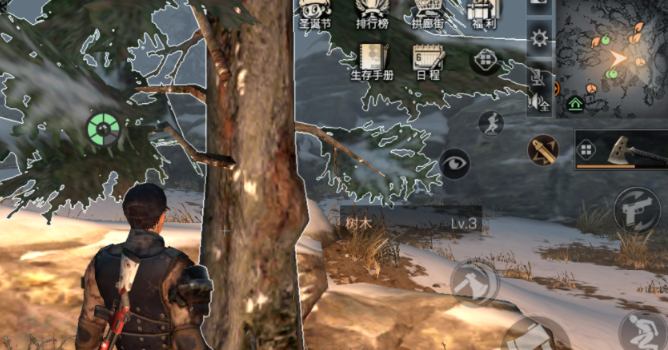 明日之后橡树苗怎么获得