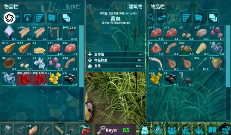 方舟生存进化翼龙怎么加点