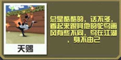 疯狂动物园 疯狂动物园