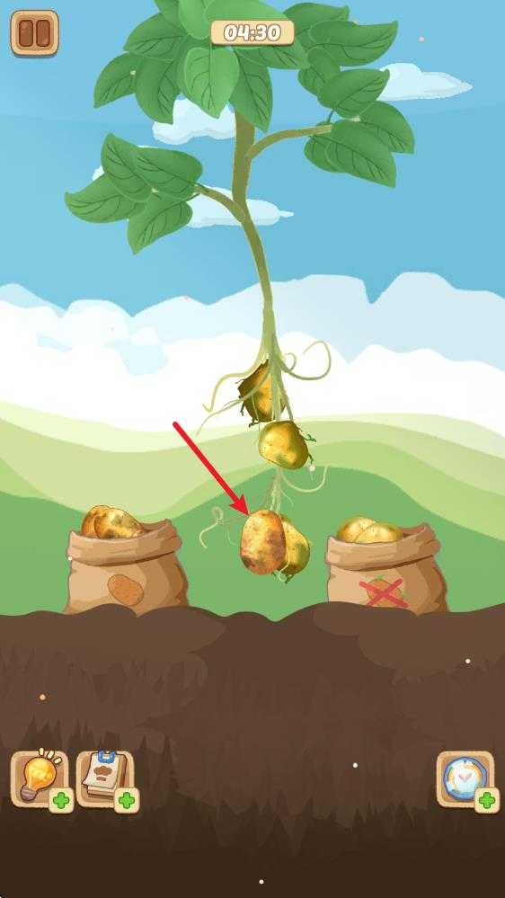 烹饪王国中文版