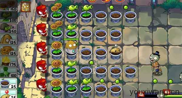 植物大战僵尸精华版最新版 植物大战僵尸精华版最新版