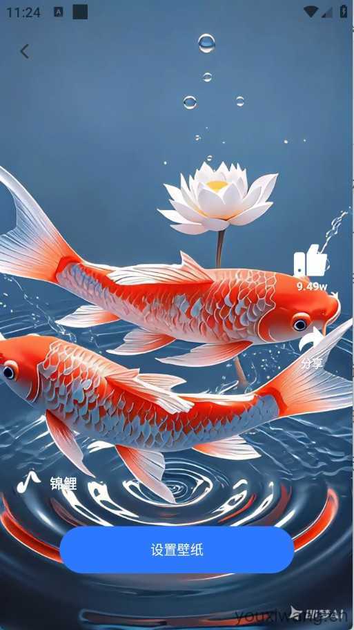 动态养鱼壁纸 动态养鱼壁纸