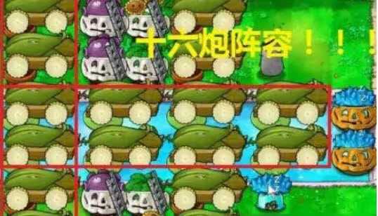 植物大战僵尸 植物大战僵尸