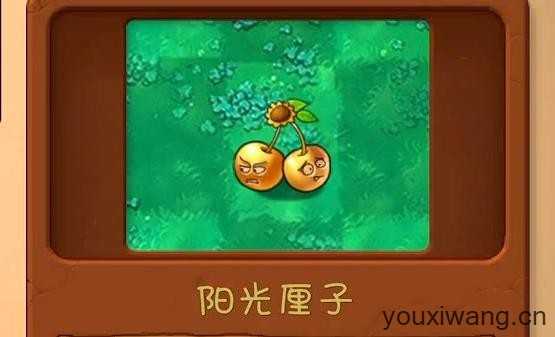 植物大战僵尸共生版手机版