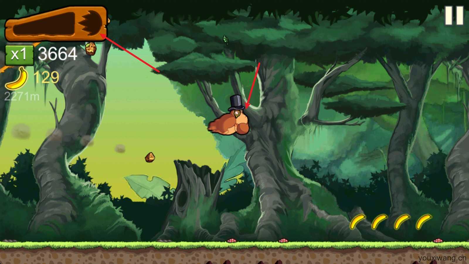 香蕉金刚 香蕉金刚