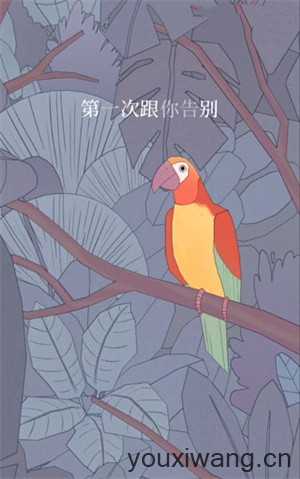 孤独的鸟儿最新版