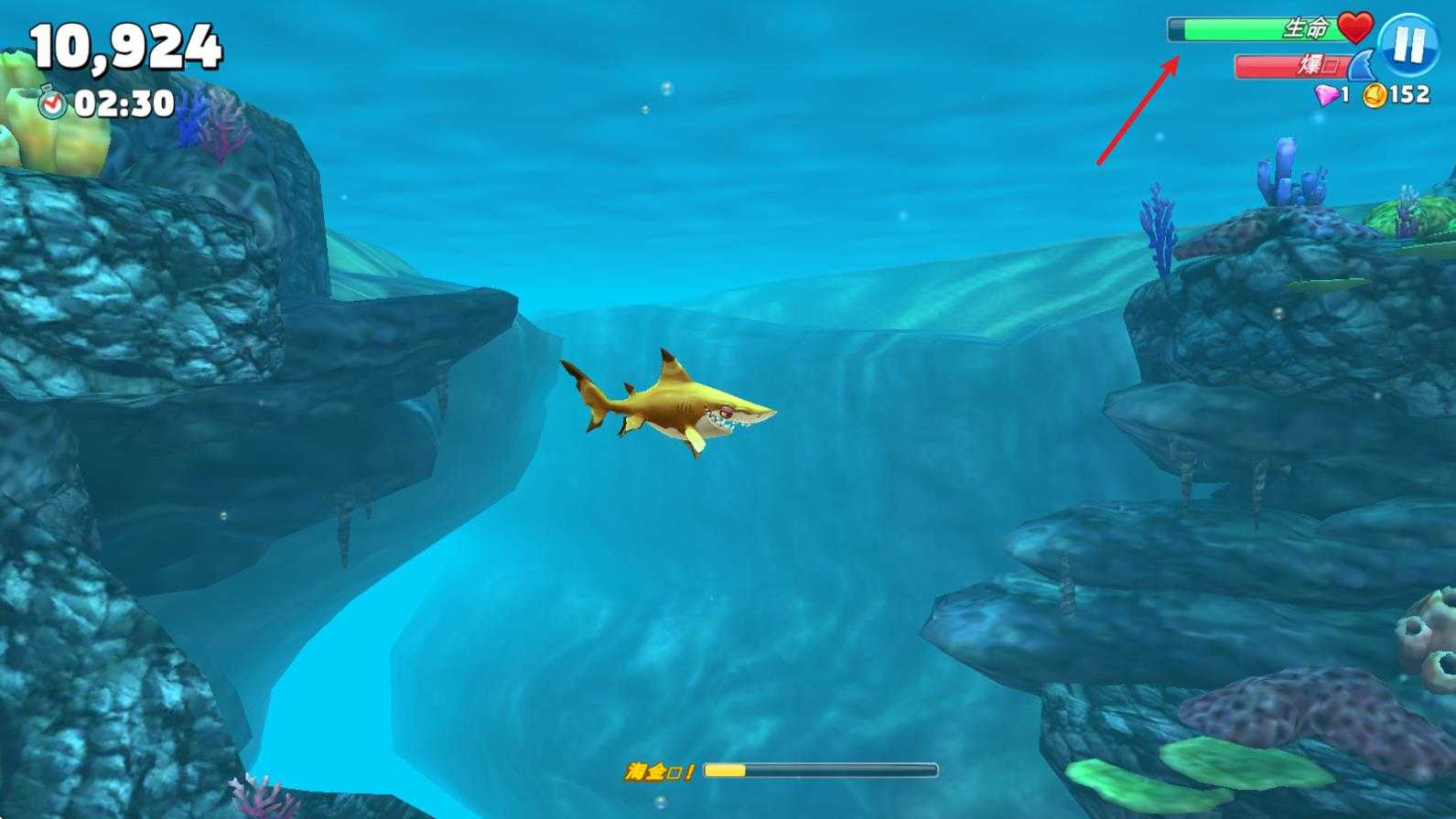 饥饿鲨世界国际服正版