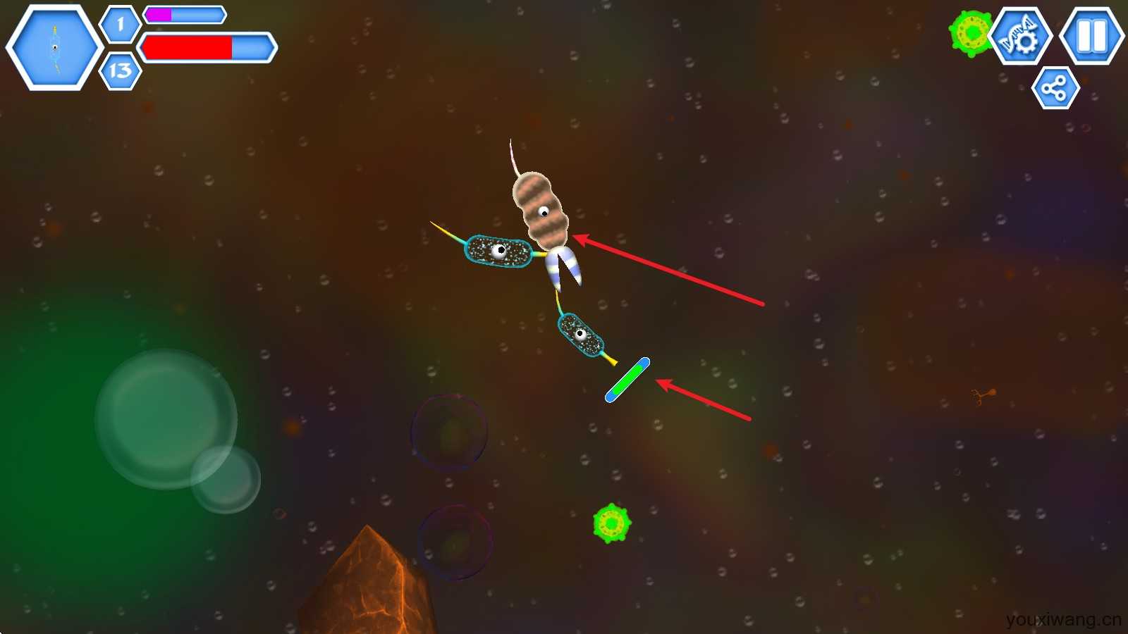 孢子进化论2 孢子进化论2