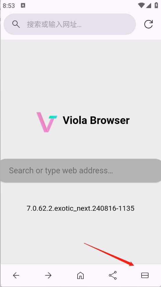Viola Next Viola Next