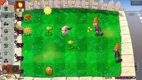 植物大战僵尸指导版 植物大战僵尸指导版