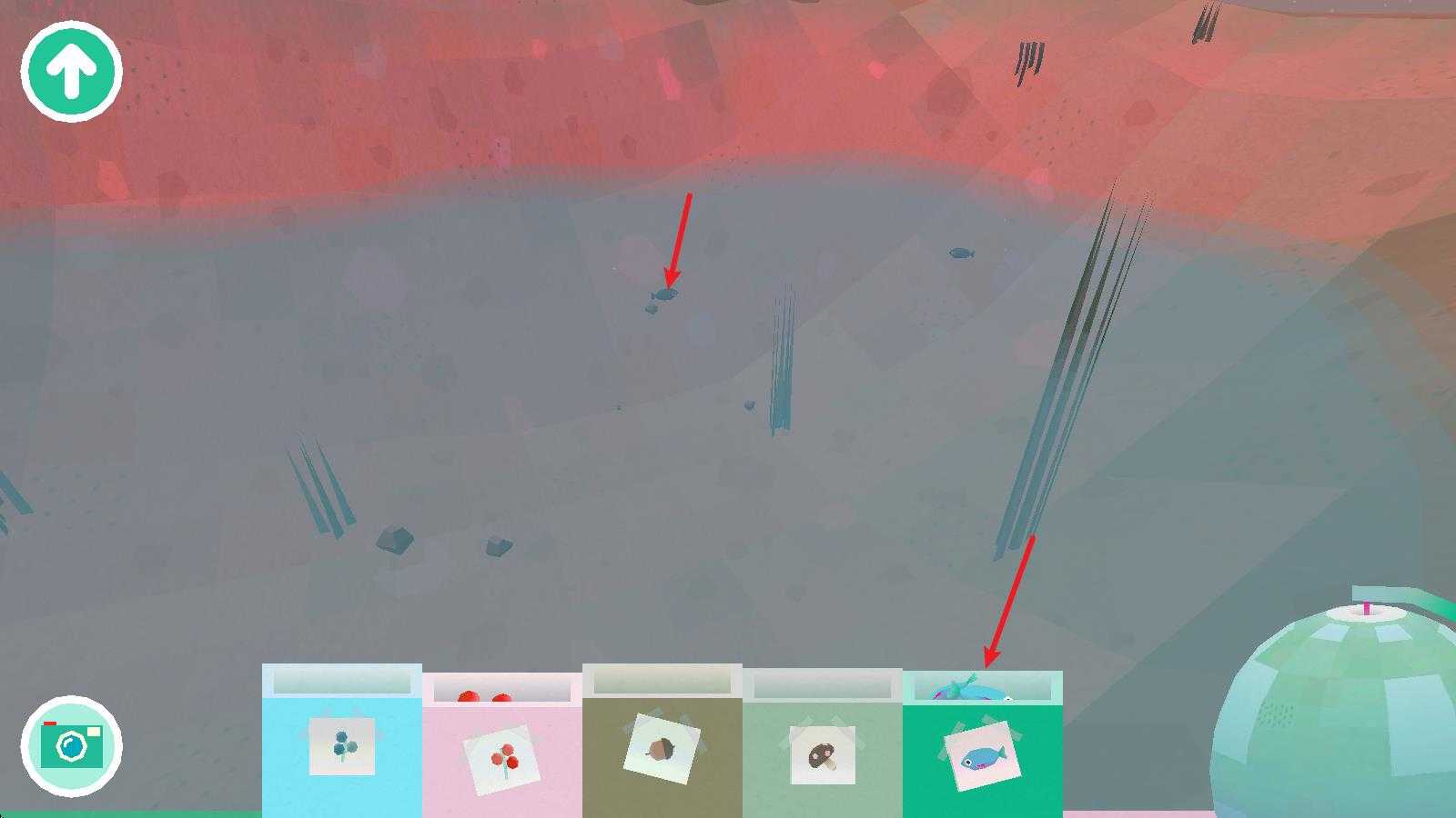 托卡大自然 托卡大自然