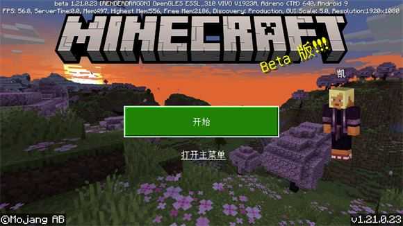 我的世界基岩版 我的世界基岩版