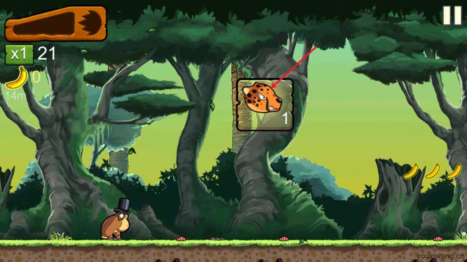 香蕉金刚 香蕉金刚