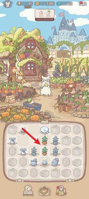 猫咪和汤魔法食谱