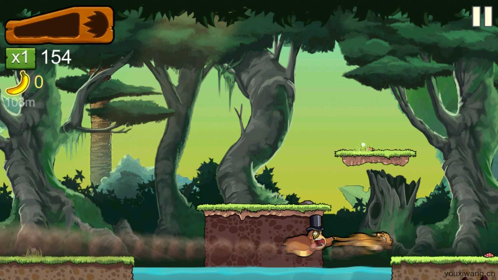 香蕉金刚 香蕉金刚