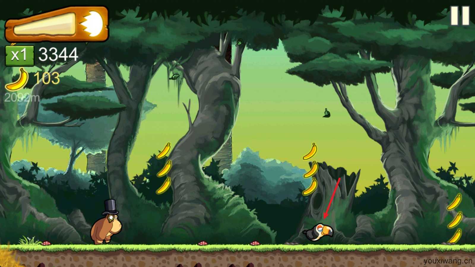 香蕉金刚 香蕉金刚