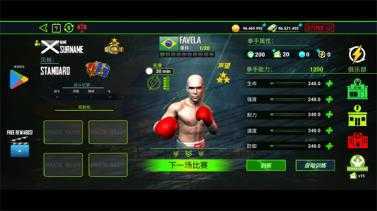 终极拳击冠军 终极拳击冠军