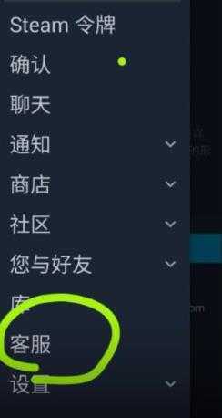steam官方正版 steam官方正版