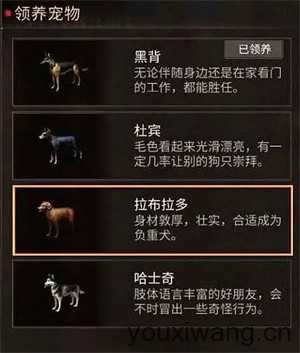 明日之后 明日之后