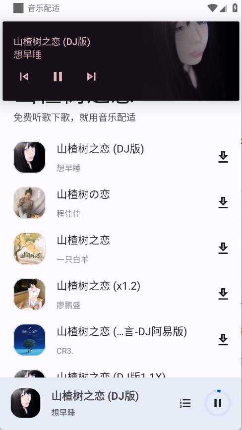 音乐配适 音乐配适