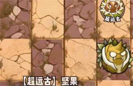 植物大战僵尸神奇植物版 植物大战僵尸神奇植物版