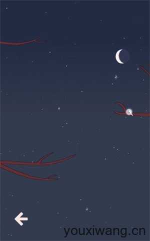 孤独的鸟儿最新版