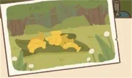 动物餐厅 动物餐厅