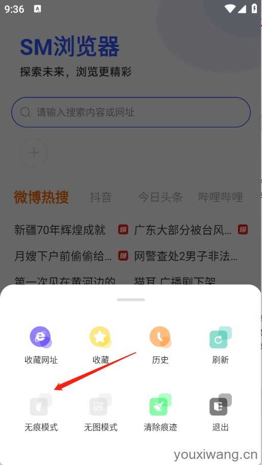 SM浏览器 SM浏览器