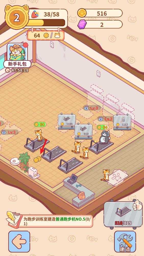 猫咪健身房 猫咪健身房