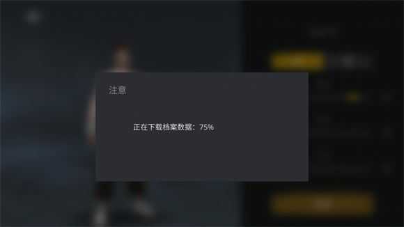 暗影格斗3国际服 暗影格斗3国际服